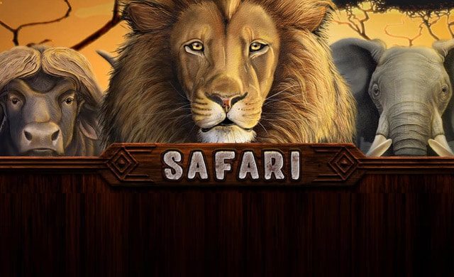 Safari Online Casino Slot Review